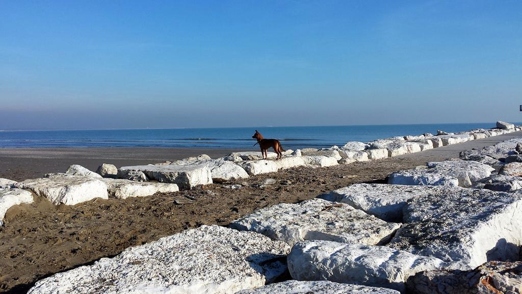 L'Antico Lido Venice Λίντο της Βενετίας Εξωτερικό φωτογραφία